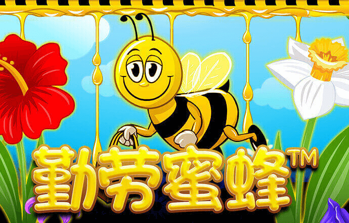 巴沙体育投注